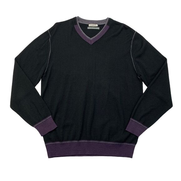 Clotherie Phoenix Wool Sweater Mens L Large Black/Purple V Neck Italian Merino - Picture 1 of 11